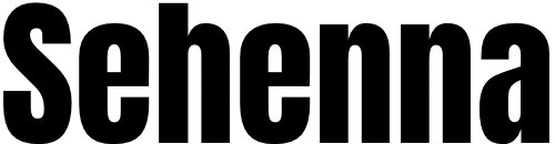 Play Zone logo